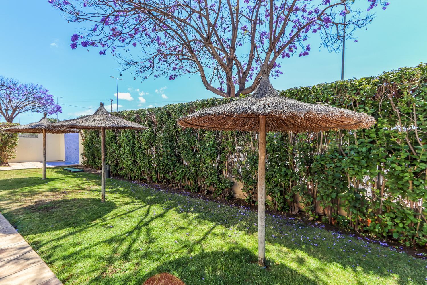 A Un Paso Del Mar Con Servicios Y Piscina 哈维亚 外观 照片